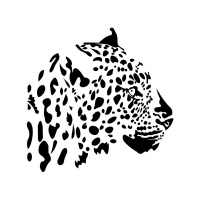 leopard_fej