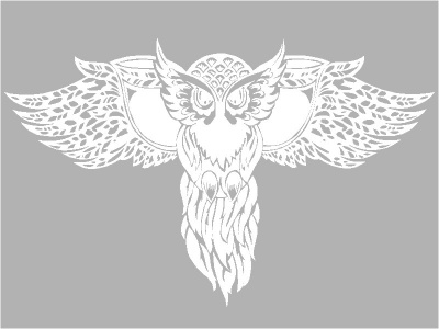 bagoly_dszes_fehr_886859298