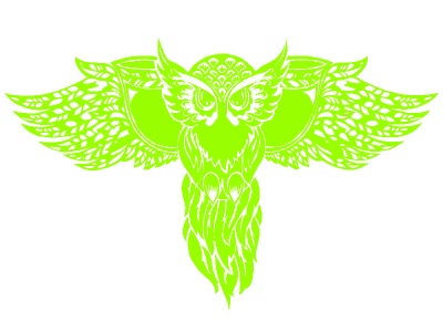 bagoly_dszes_zld_2096372981