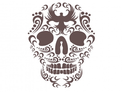 cifra_koponya_barna_1717174011