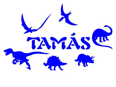 dnk_nvvel_kk_347160836