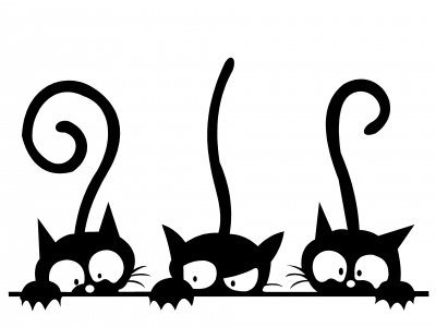 fekete_cick_1220236707