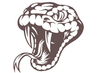 kgy_fej_barna_548046896