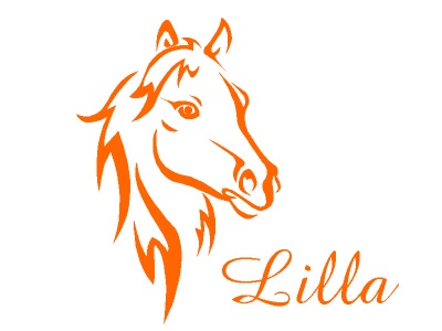 l_fej_nvvel_narancs_251363603