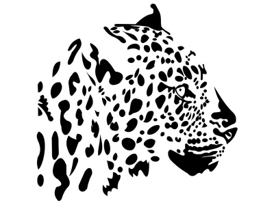 leopard_fej_874791630