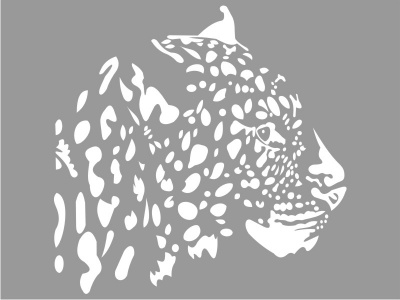 leopard_fej_fehr_1654885491