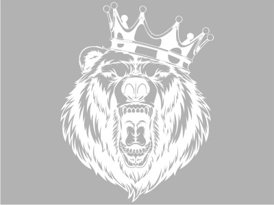 medve_fej_fehr_795529186