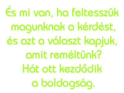 s_mi_van_zld_1676154982