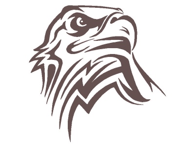 sas_fej_barna_986104999